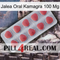 Oral Jelly Kamagra 100 Mg 18